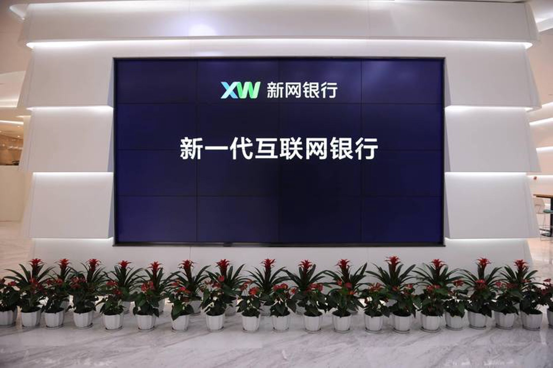 新网新信息